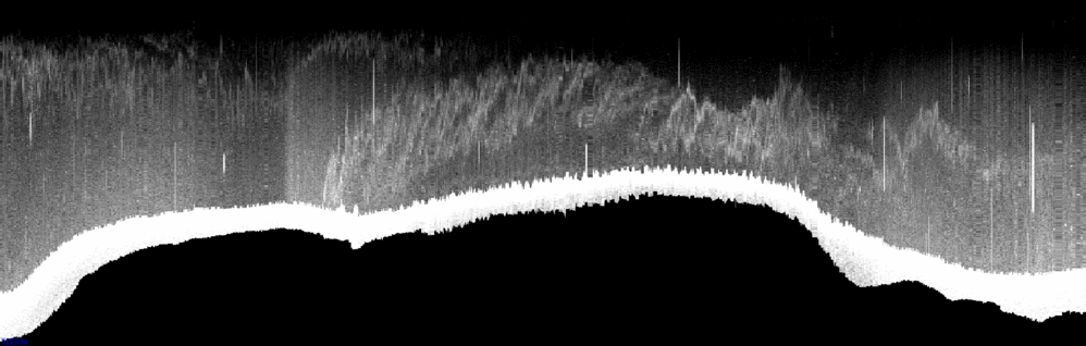 vertical section