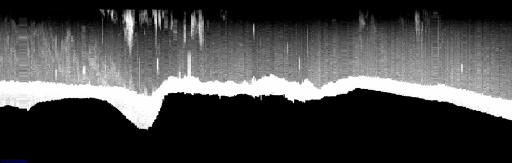 vertical section