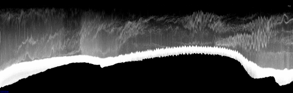 vertical section