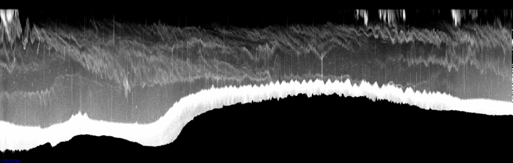 vertical section