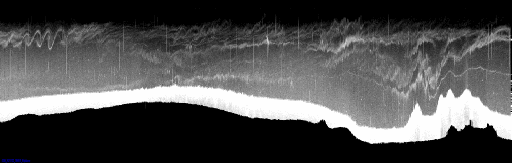 vertical section