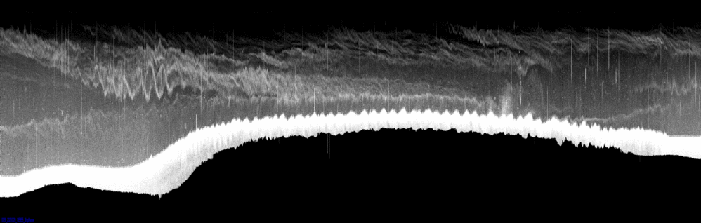 vertical section
