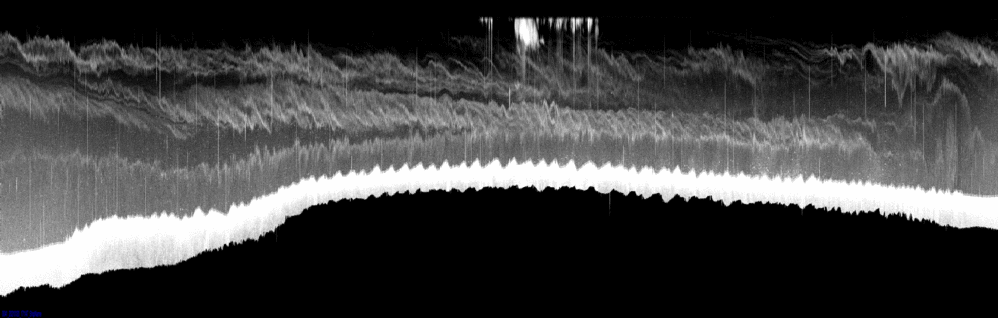 vertical section
