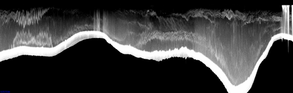 vertical section