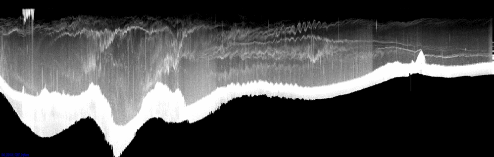 vertical section