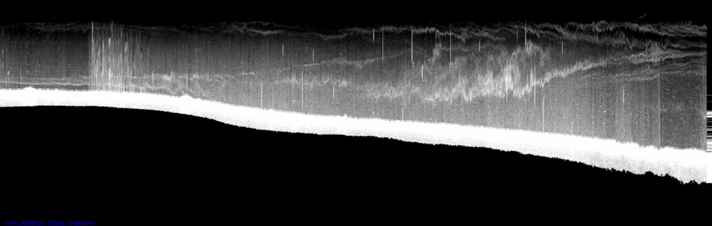 vertical section