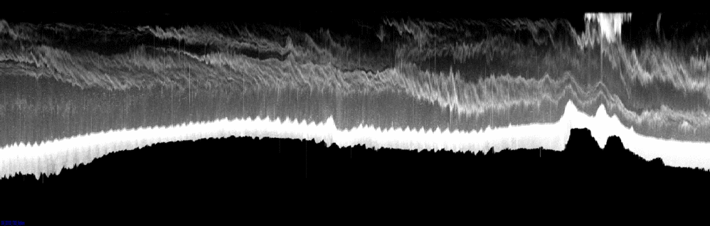 vertical section