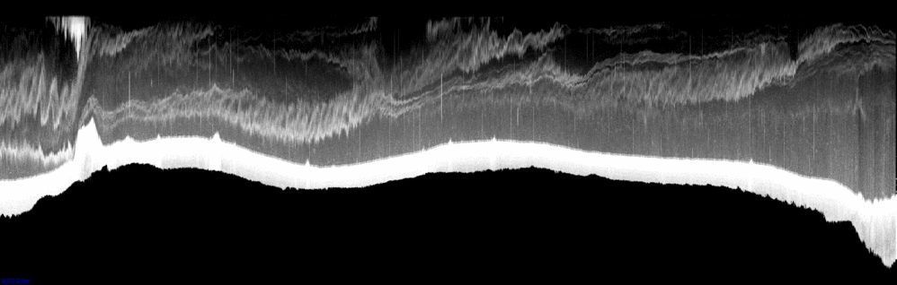 vertical section