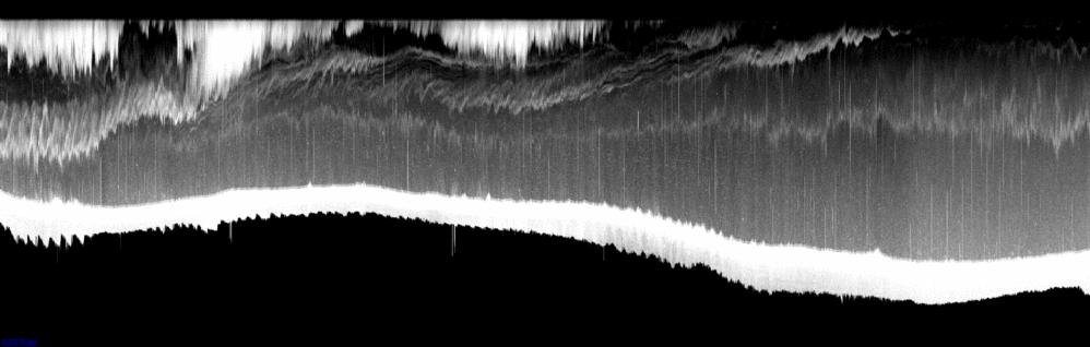 vertical section