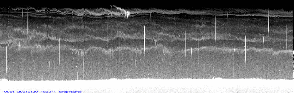 vertical section