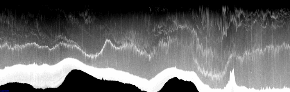 vertical section