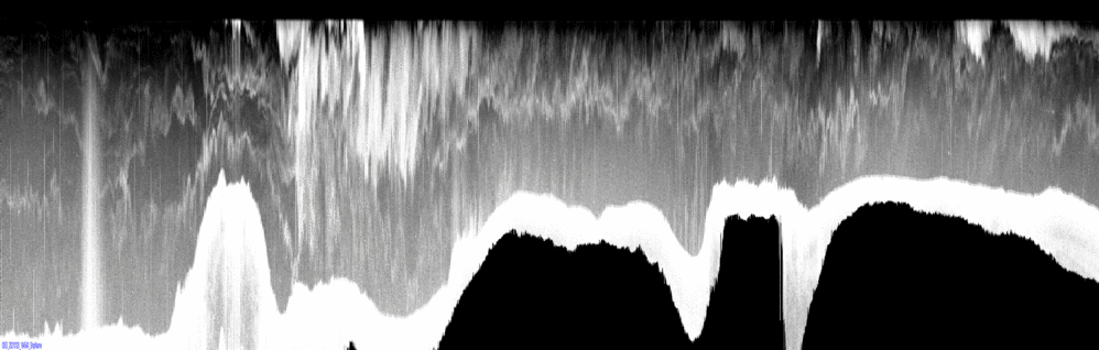 vertical section