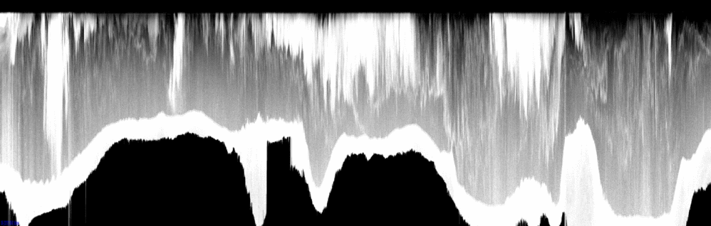vertical section