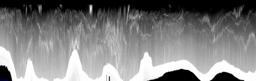 vertical section