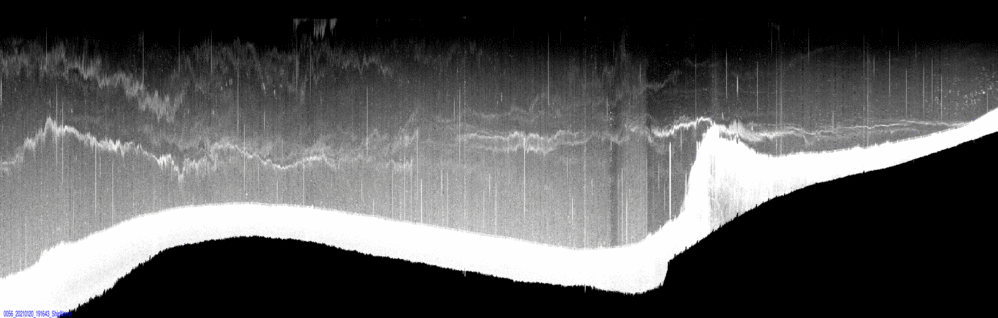 vertical section