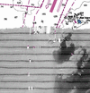 Reporocessed backscatter