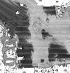Reprocessed backscatter (with beam pattern)