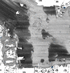 Reprocessed backscatter (rolling averages)