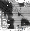 Reporocessed backscatter