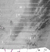 Reprocessed backscatter (with beam pattern)