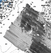Reprocessed backscatter (with beam pattern)