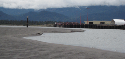 berth edge - LW Springs June 2011