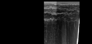 water column