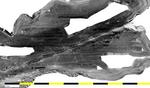 200 kHz sidescan