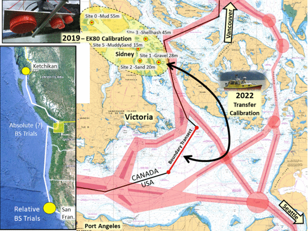 overview 2019 and 2022