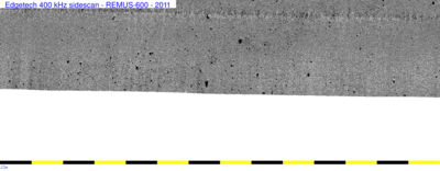 remus sidescan