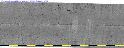 remus sidescan