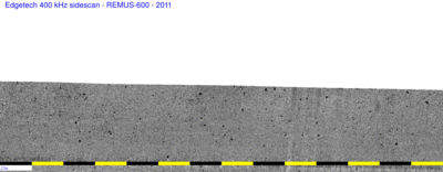 remus sidescan