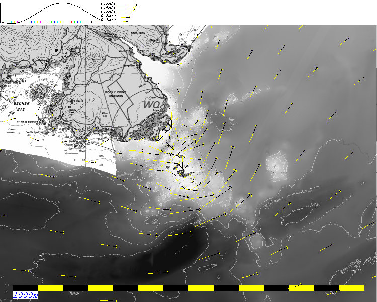 anim tide
        currents