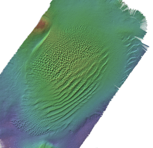area