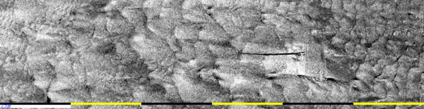 mos 2040
