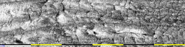 mos 2040