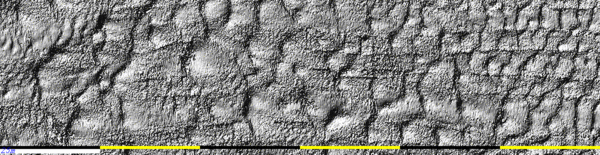 mos 2040