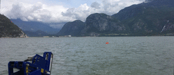 buoy