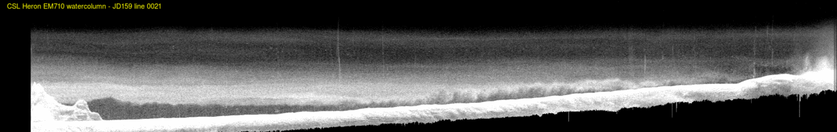 line 0021