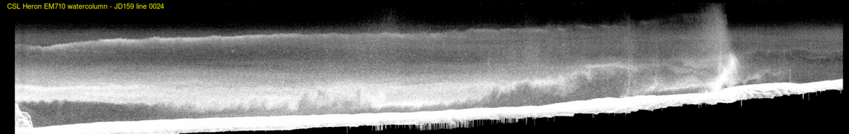 line 0024