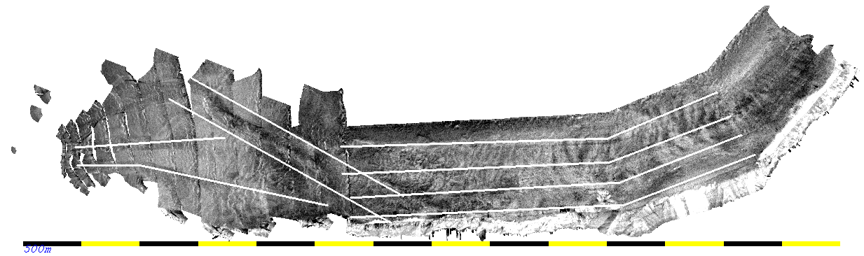survey lines