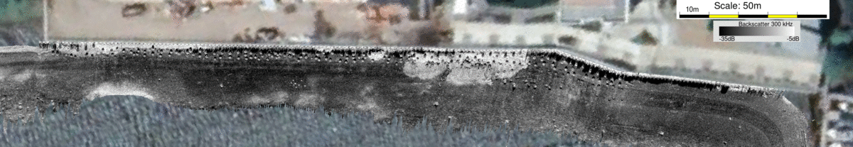 closest backscatter