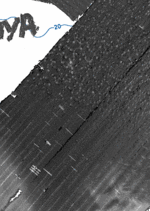 Backscatter Data Unavailable
