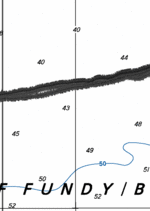 Backscatter Data Unavailable