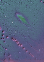 Bathymetry Data Unavailable