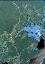 Backscatter Data Unavailable