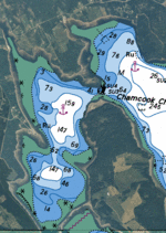 Bathymetry Data Unavailable
