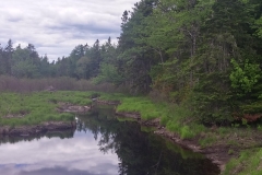 Beaver Area