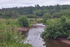 Creek